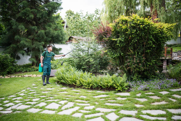 Best Pest Control for Homes  in Plymouth, PA