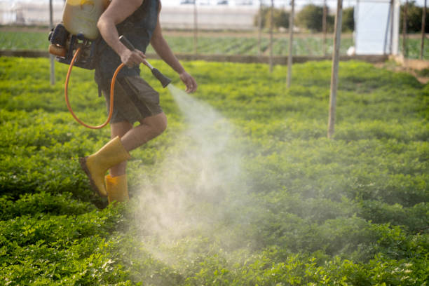 Best Commercial Pest Control Services  in Plymouth, PA