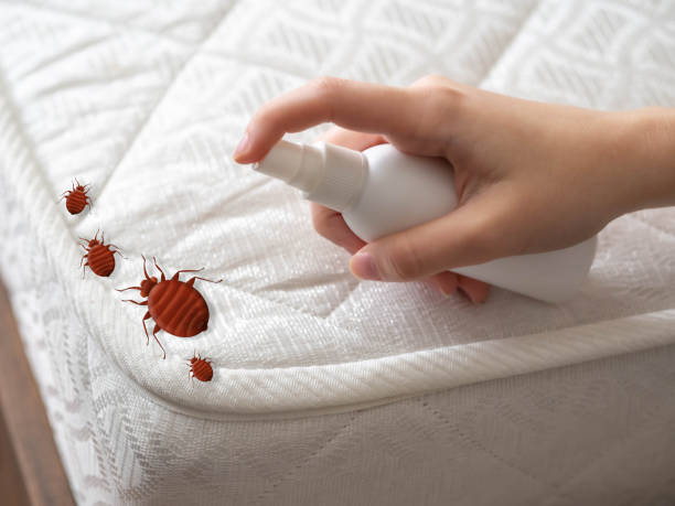 Best Flea Control Services  in Plymouth, PA