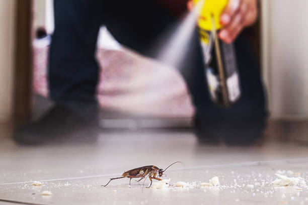 Best Affordable Pest Control Services  in Plymouth, PA