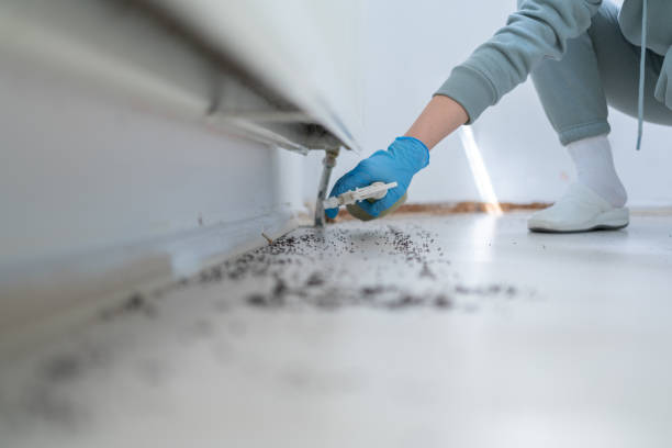 Best Emergency Pest Control  in Plymouth, PA